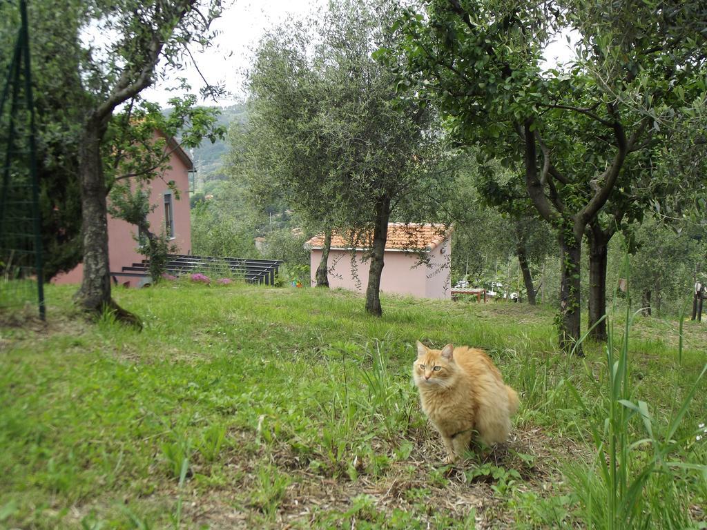 Agriturismo Brasino Fosdinovo Cameră foto
