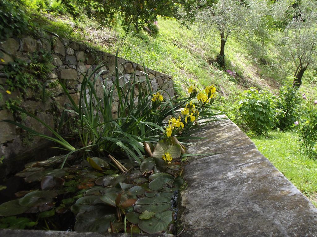 Agriturismo Brasino Fosdinovo Cameră foto